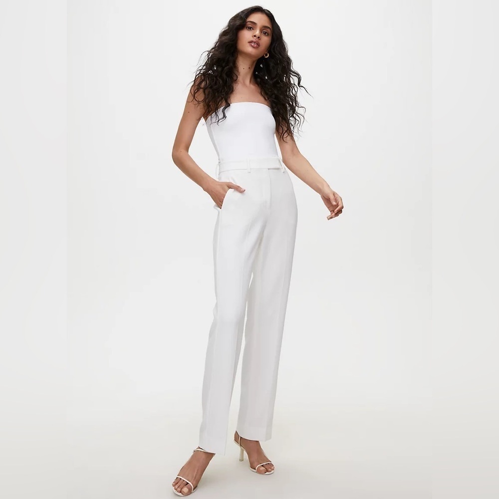 Aritzia Babaton Trevor Pant